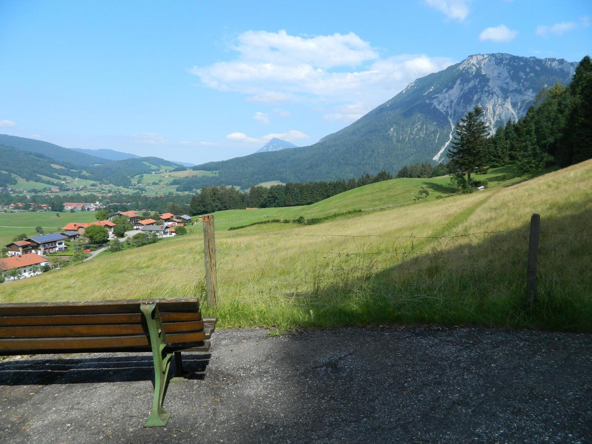 Hotel Garni Haus Alpine - Chiemgau Karte Inkl Ruhpolding Eksteriør billede